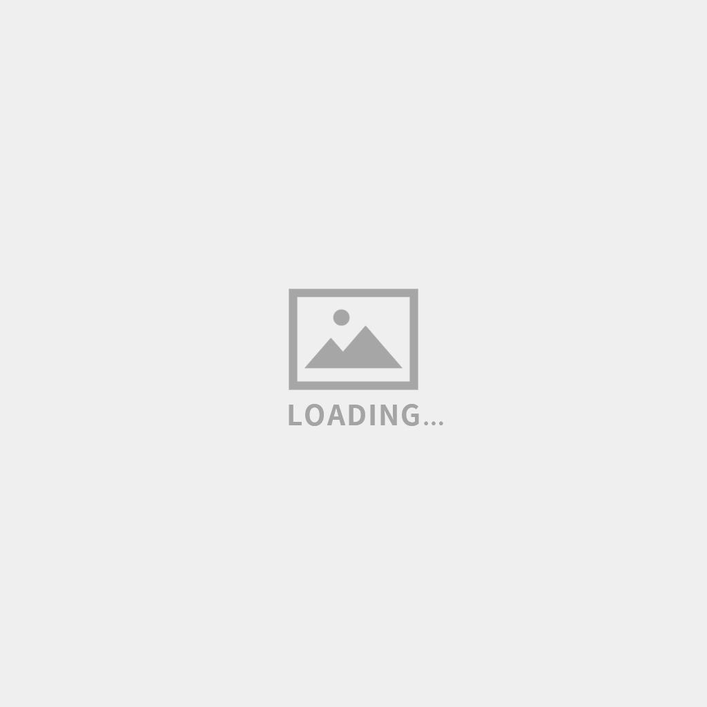 經典案例-貴安鵝廠